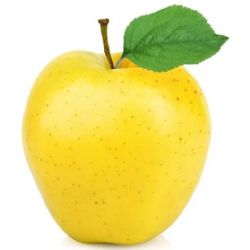 תפוח עץ מוזהב