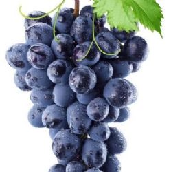 ענבי שחורים