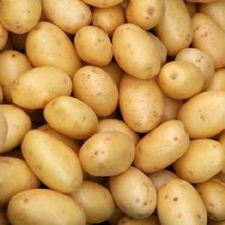 תפוח אדמה לבן