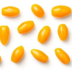 עגבניות שרי כתום