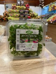 עלי מיקרו בזיליקום