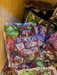 ססלק אדום וואקום