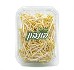 נבטים סיניים