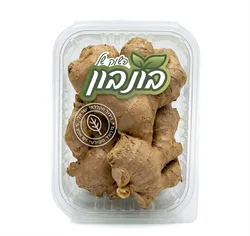 זנגביל- ג'נג'ר