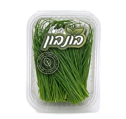 עירית
