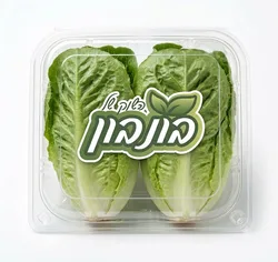 לבבות קיסר