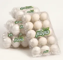 15 ביצים l